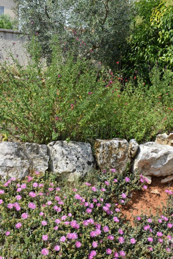 Villa Vinki Vinkuran Bagian luar foto